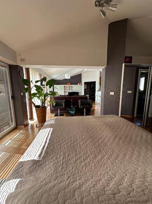 Appartement Queen Of Opatija