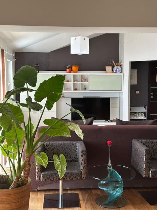 Queen Of Apartamento Opatija